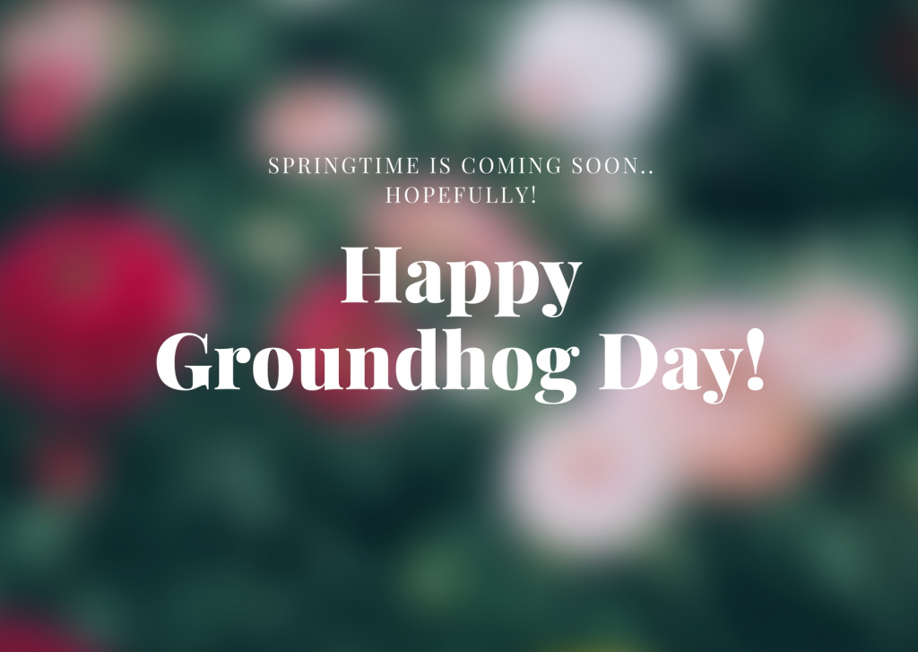 Groundhog Day Facts & Local Events NW Ohio Moms