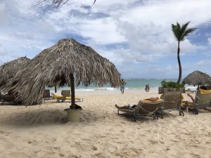Photo of Cabanas and a Palm on a Beach