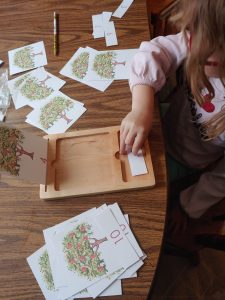 Child with Montessori 3 part cards